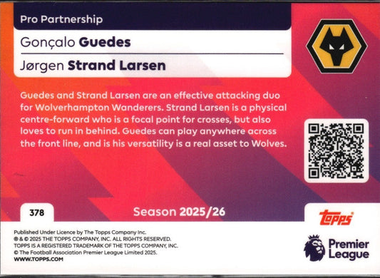 TPL26-378-pro-partners-goncalo-guedes-jrgen-strand-larsen back