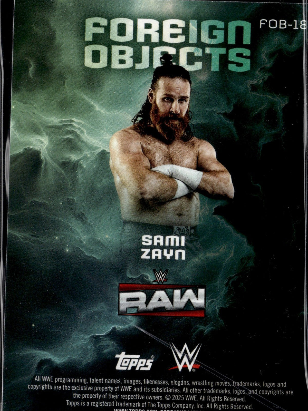 WWE25-FOB-18-sami-zayn back