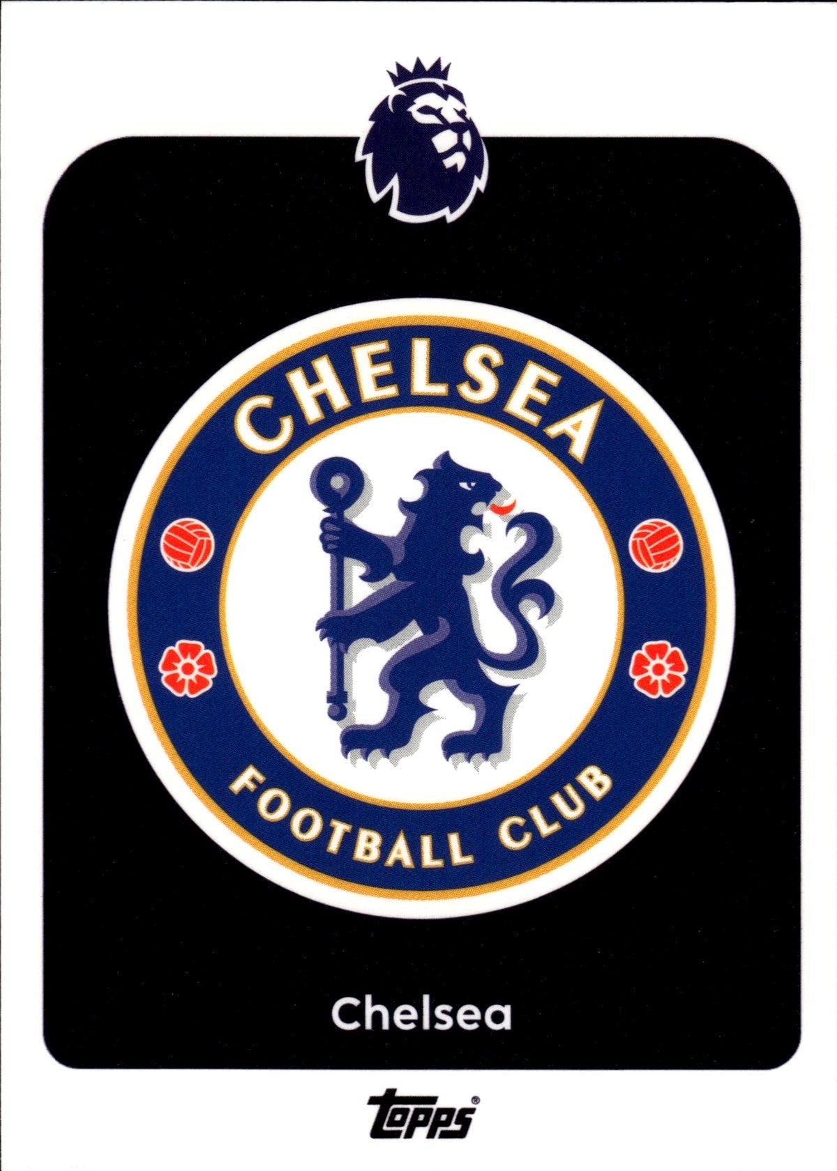 TPL26-091-chelsea front