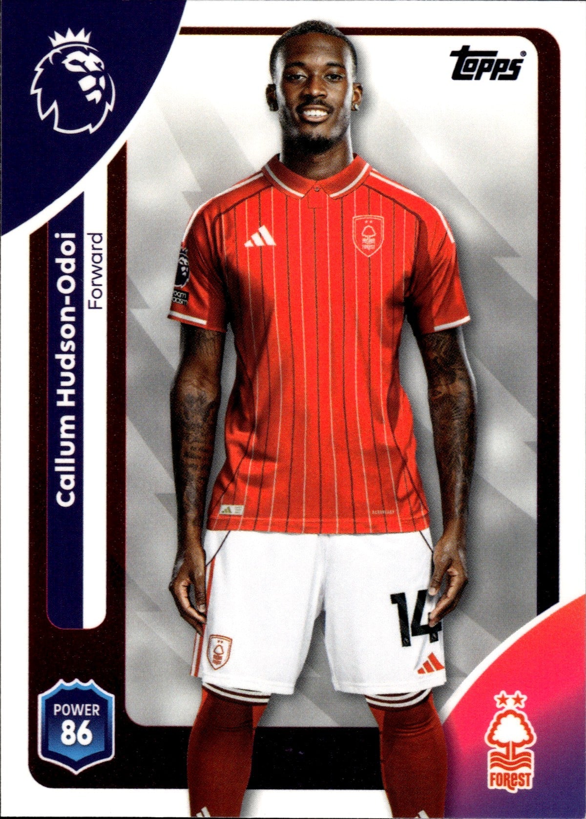 TPL26-246-callum-hudson-odoi front