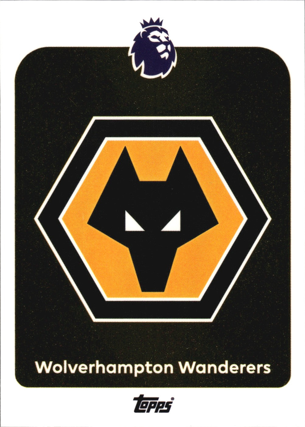 TPL26-289-wolverhampton-wanderers front