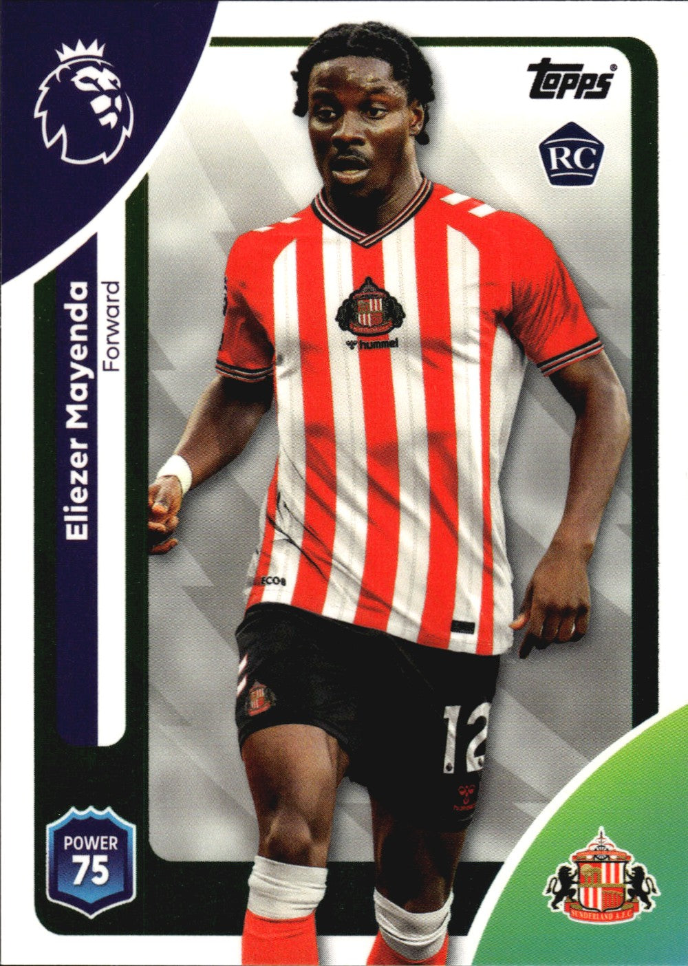 TPL26-356-eliezer-mayenda front