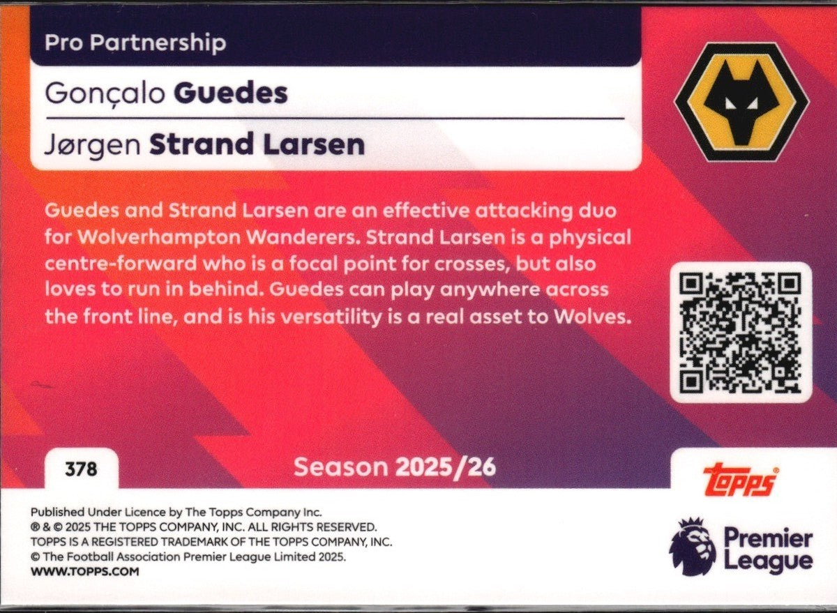 TPL26-378-pro-partners-goncalo-guedes-jrgen-strand-larsen back