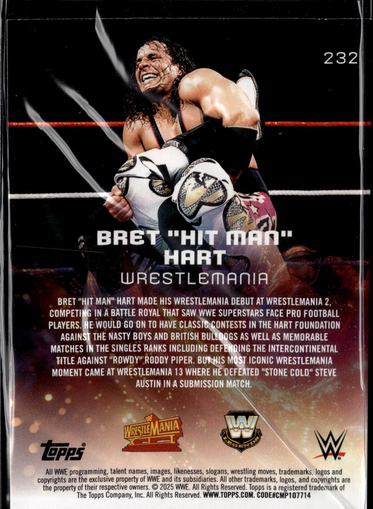 WWE25-232-bret-hit-man-hart back