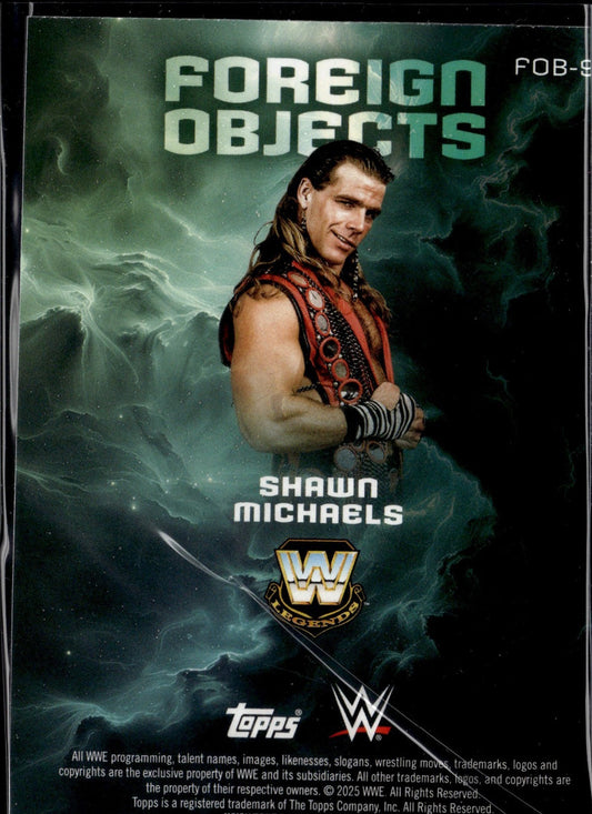 WWE25-FOB-9-shawn-michaels back