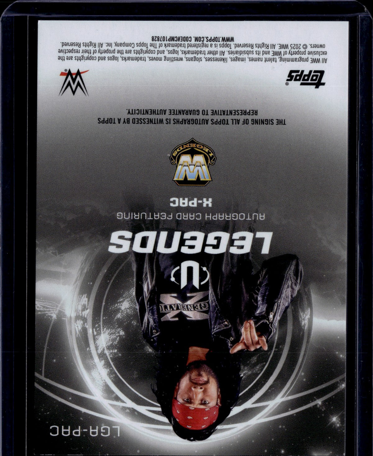 WWE25-LGA-PAC-x-pac back